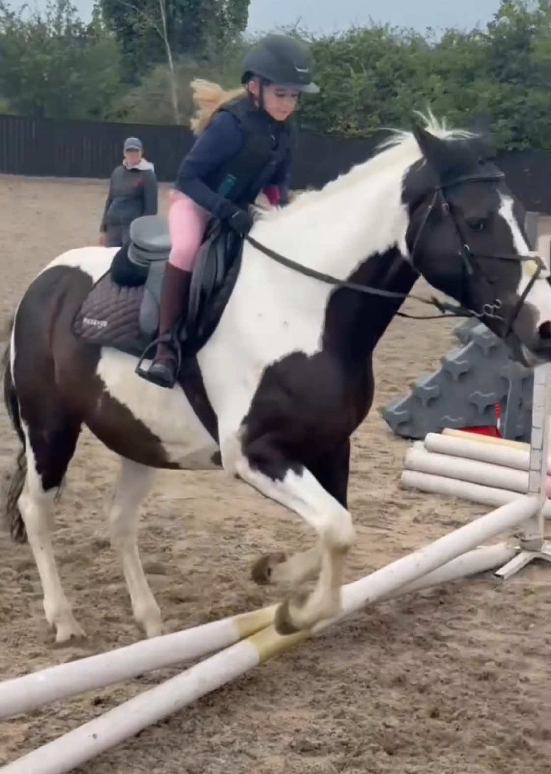 @LottiesHorseAdventures🦄🐴