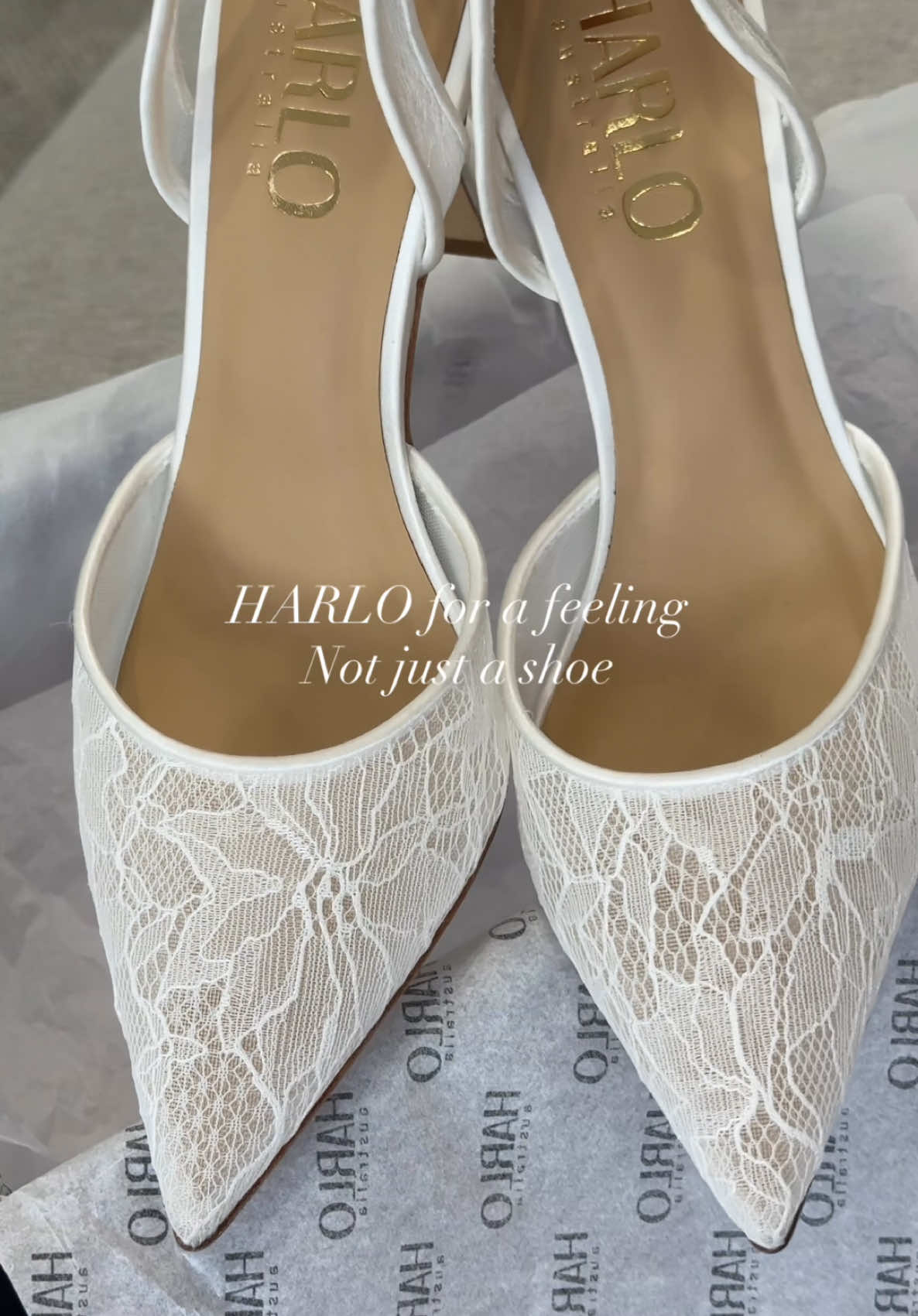 @The White Collection