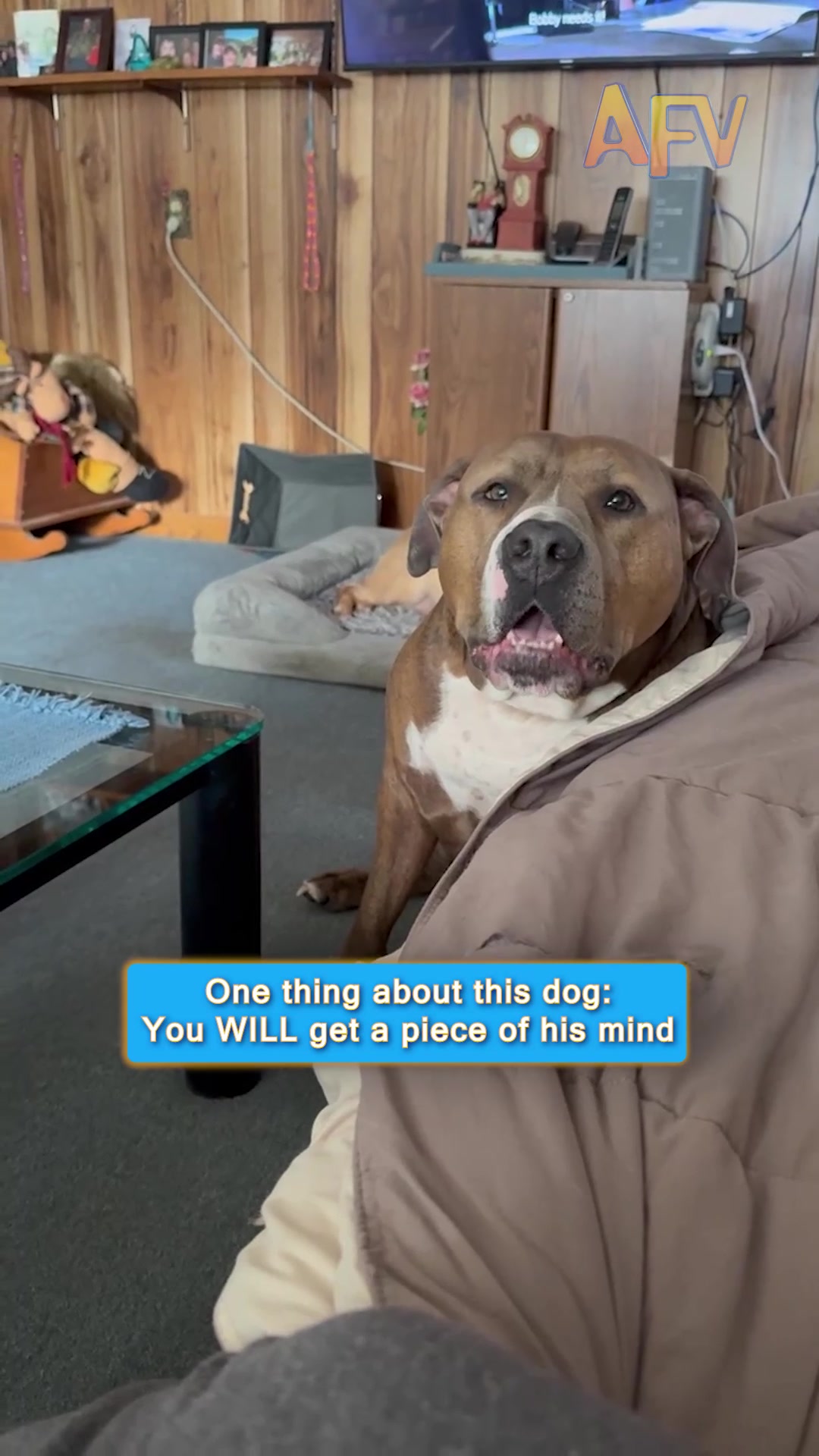 @AFVofficial