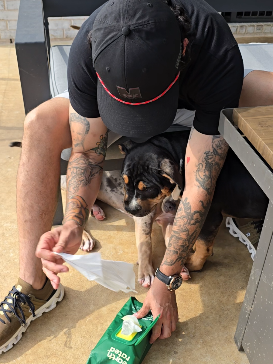 @Burleson Bullies, llc