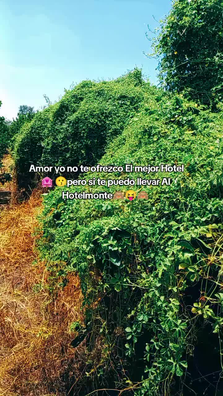 @Cris(:💙Pérez(:✅