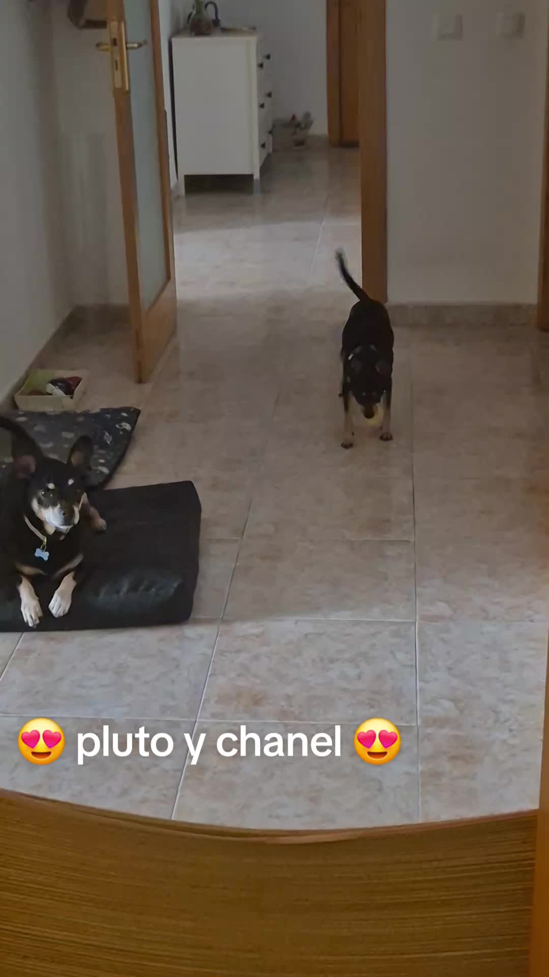 @AntoCM💕