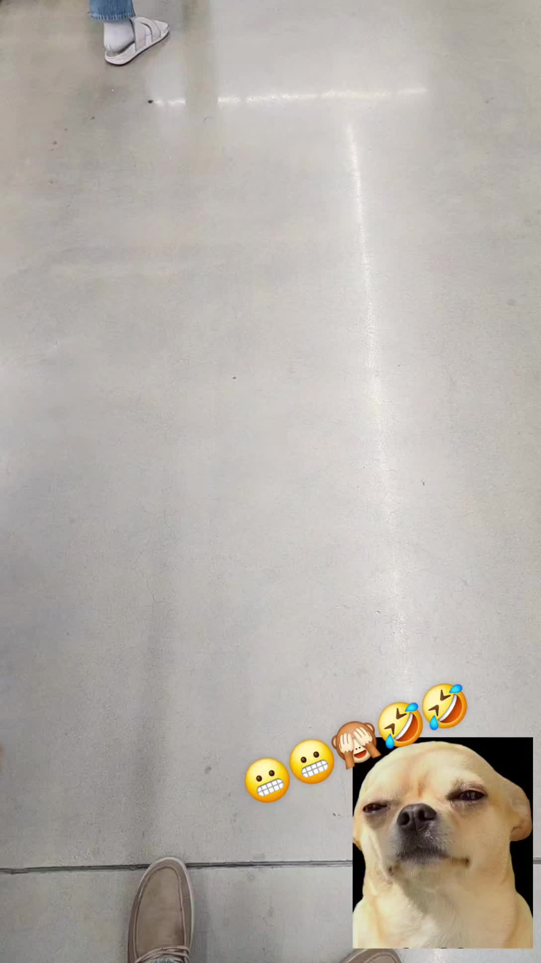 @fuckensebas
