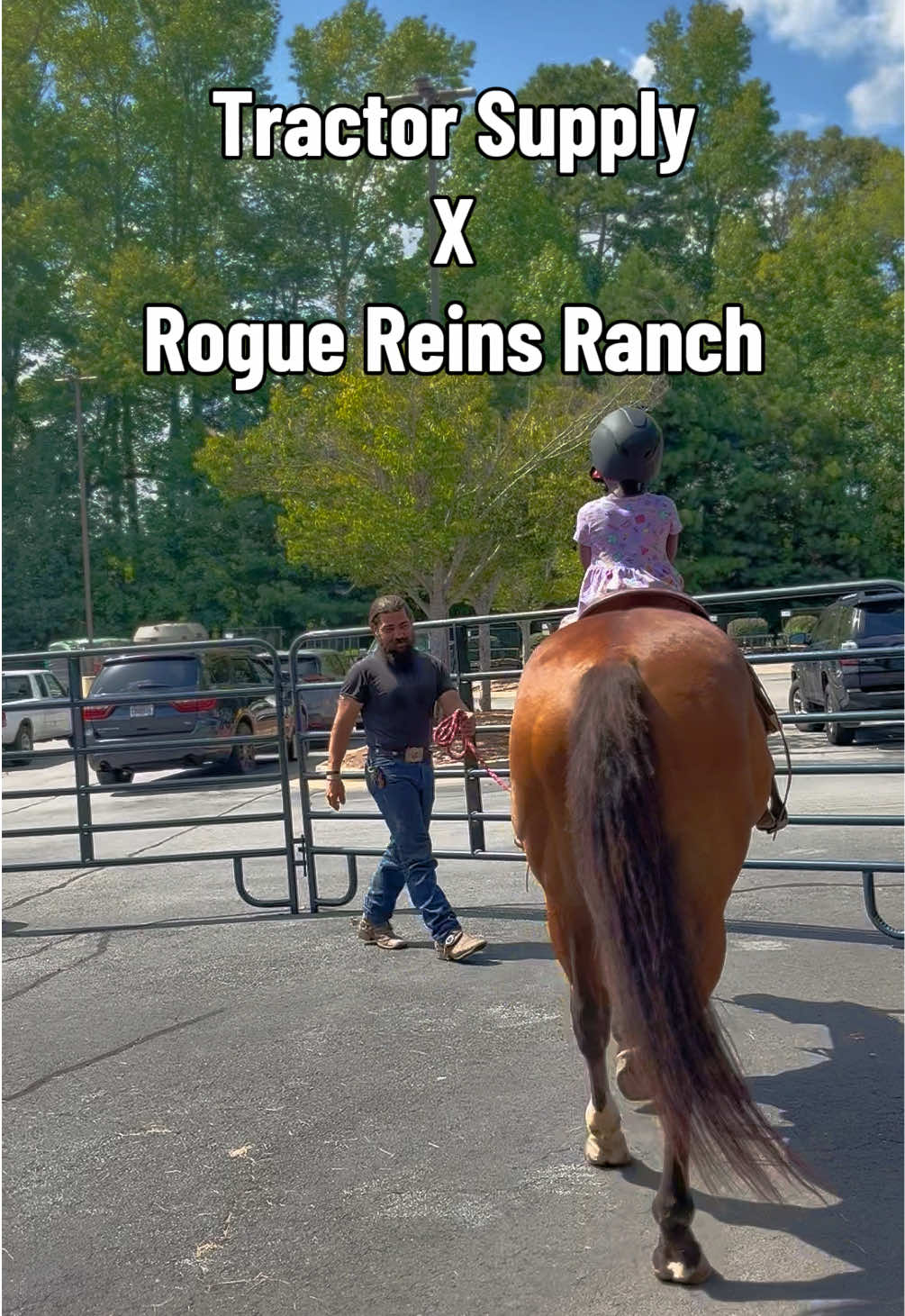 @Rogue Reins