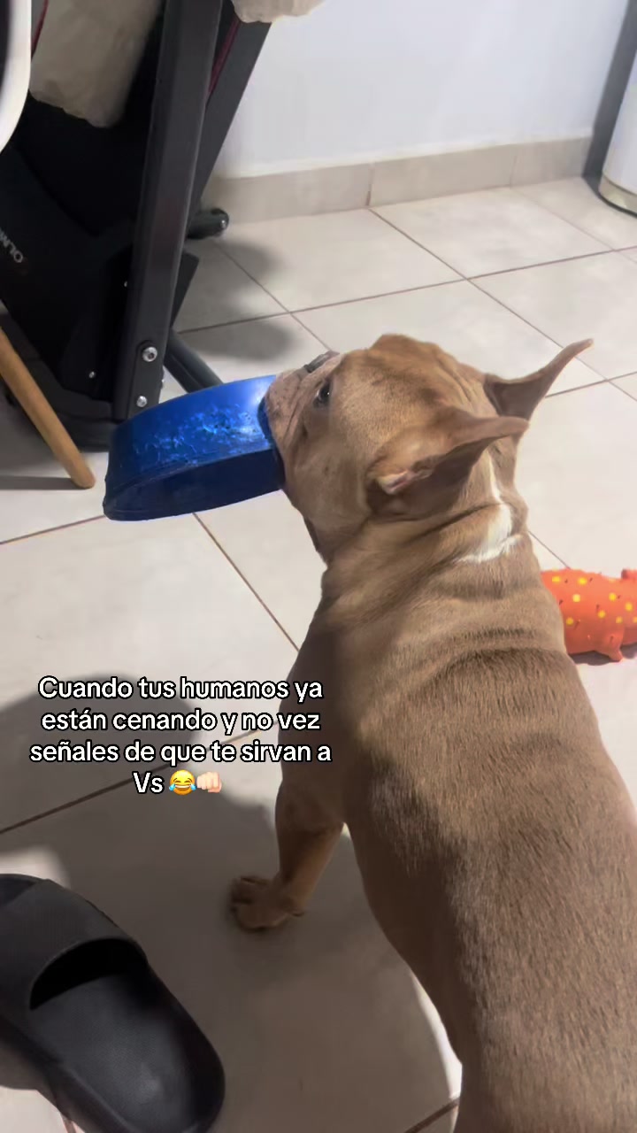 @Aldana González