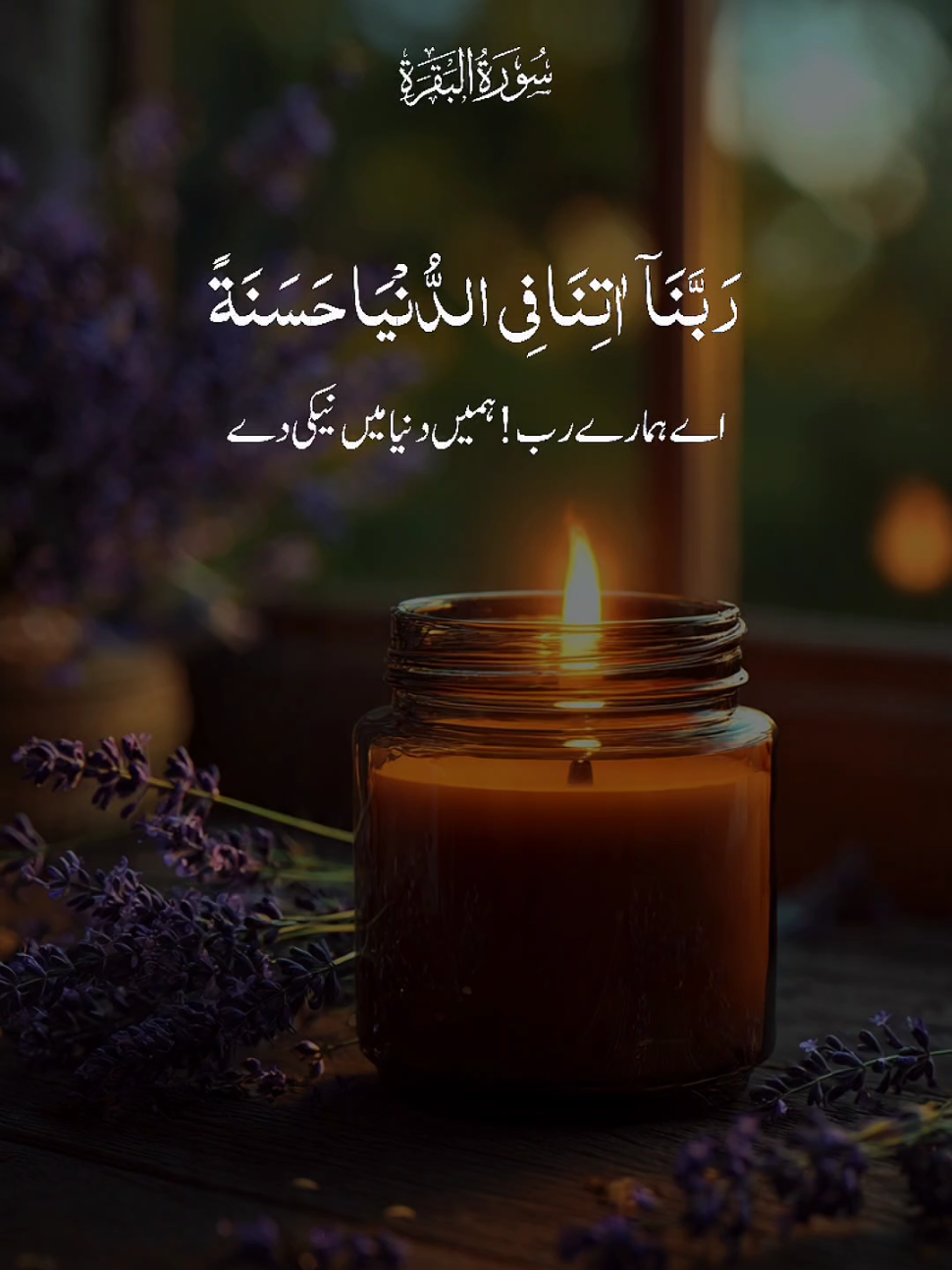 @Aimen Usman