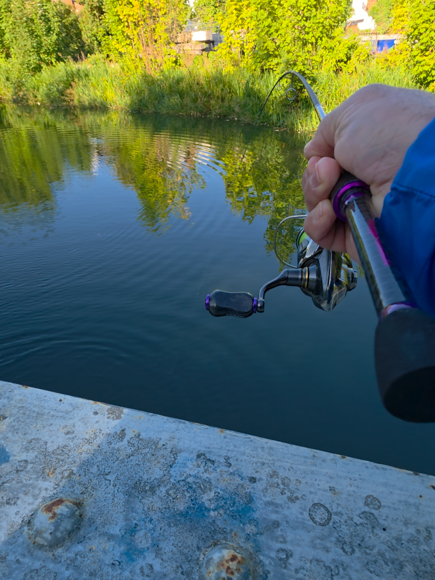 @BF Angler