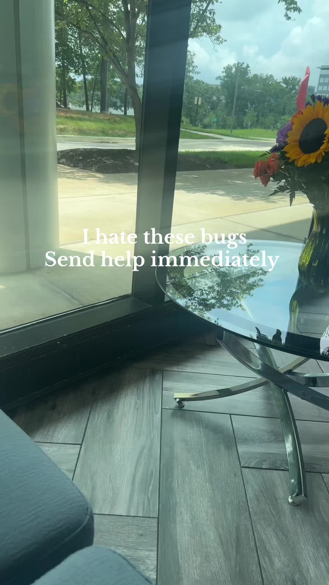 @sothevibe