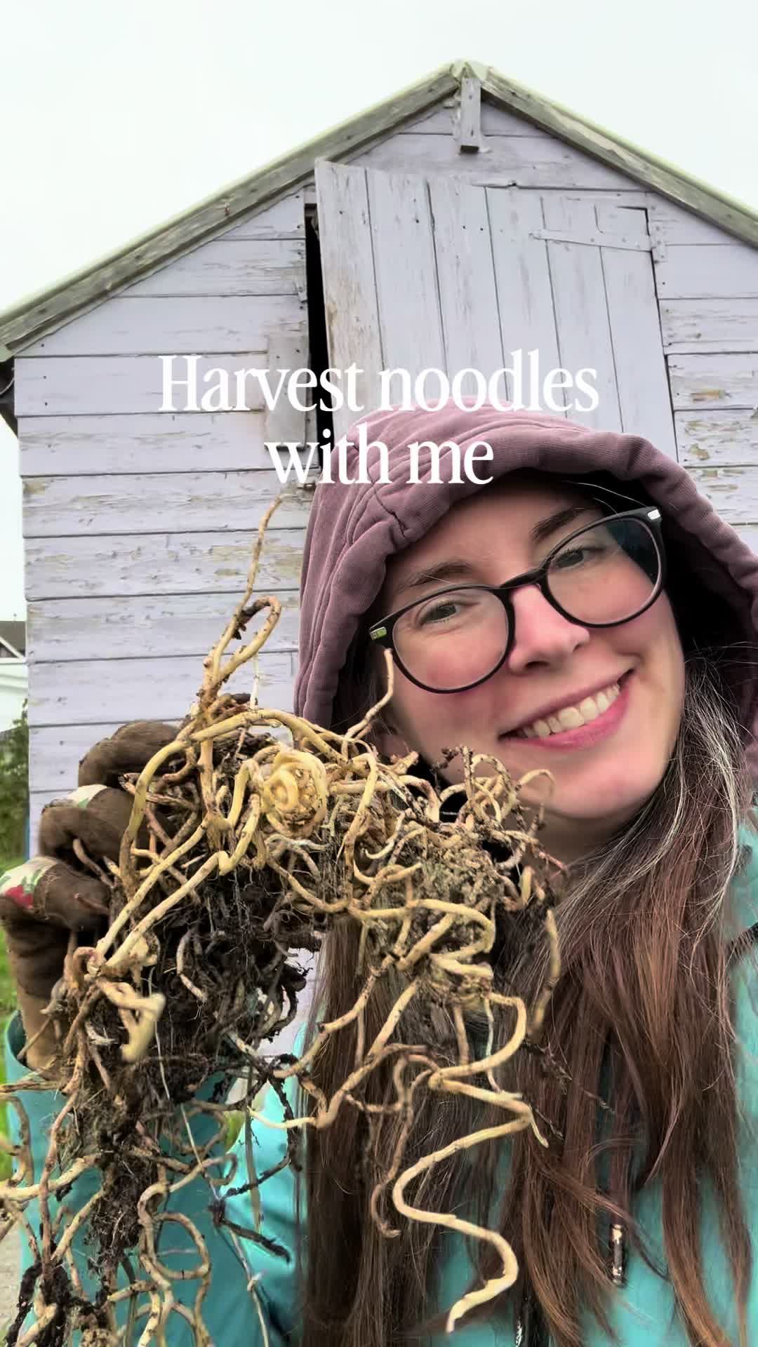 @ourlittleveggarden