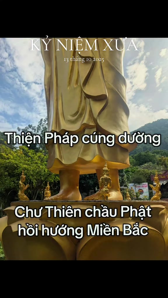 @TK Bảo &Acirc;n