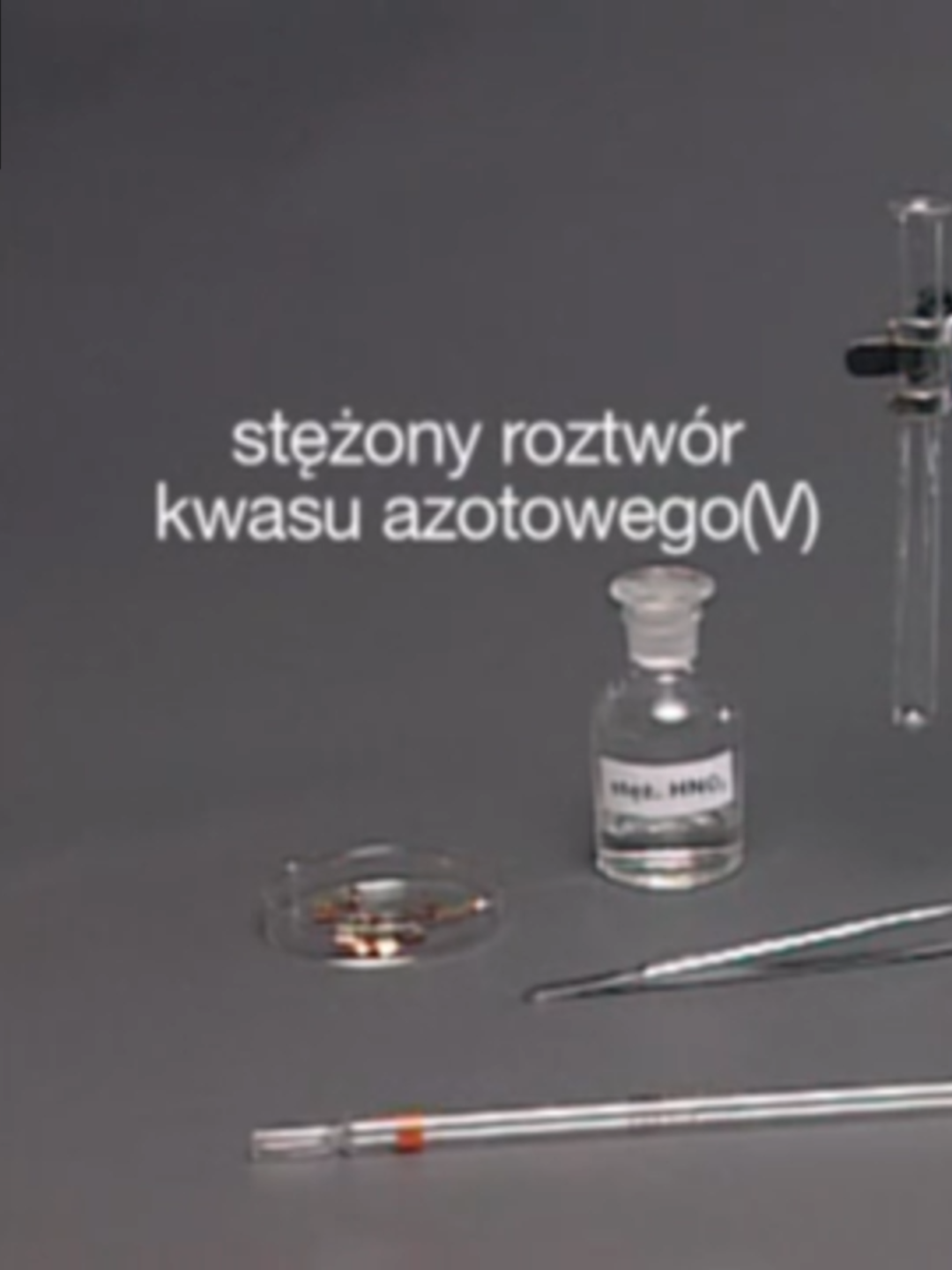 @szuszjan