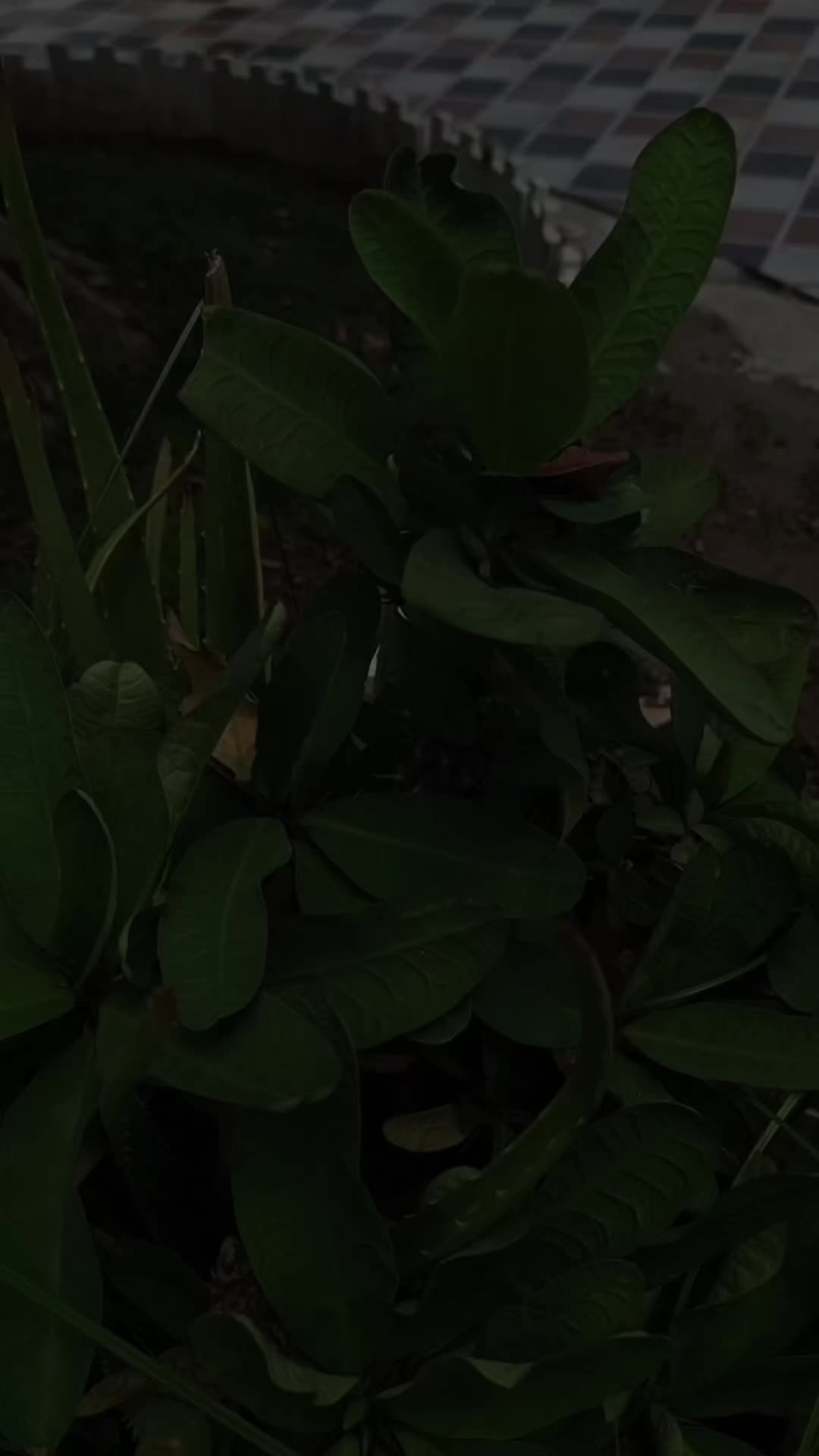 @𝑬 𝑴 𝑨 𝑵 ♥️