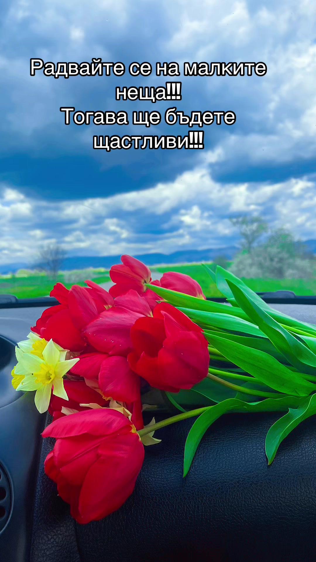 @🩷Теди🩷