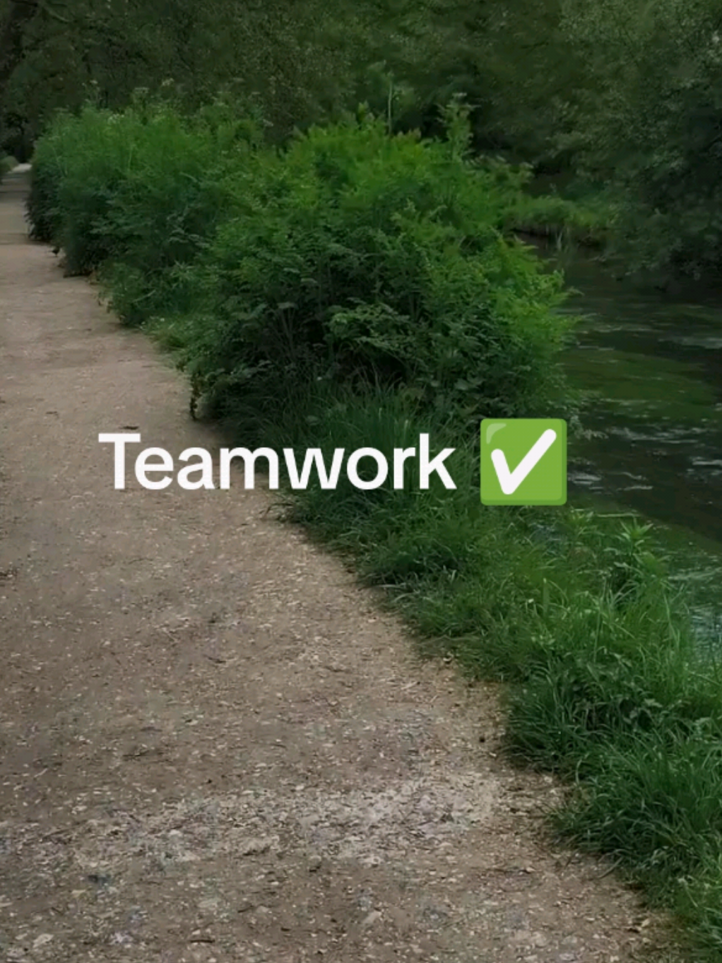 @Teamwork
