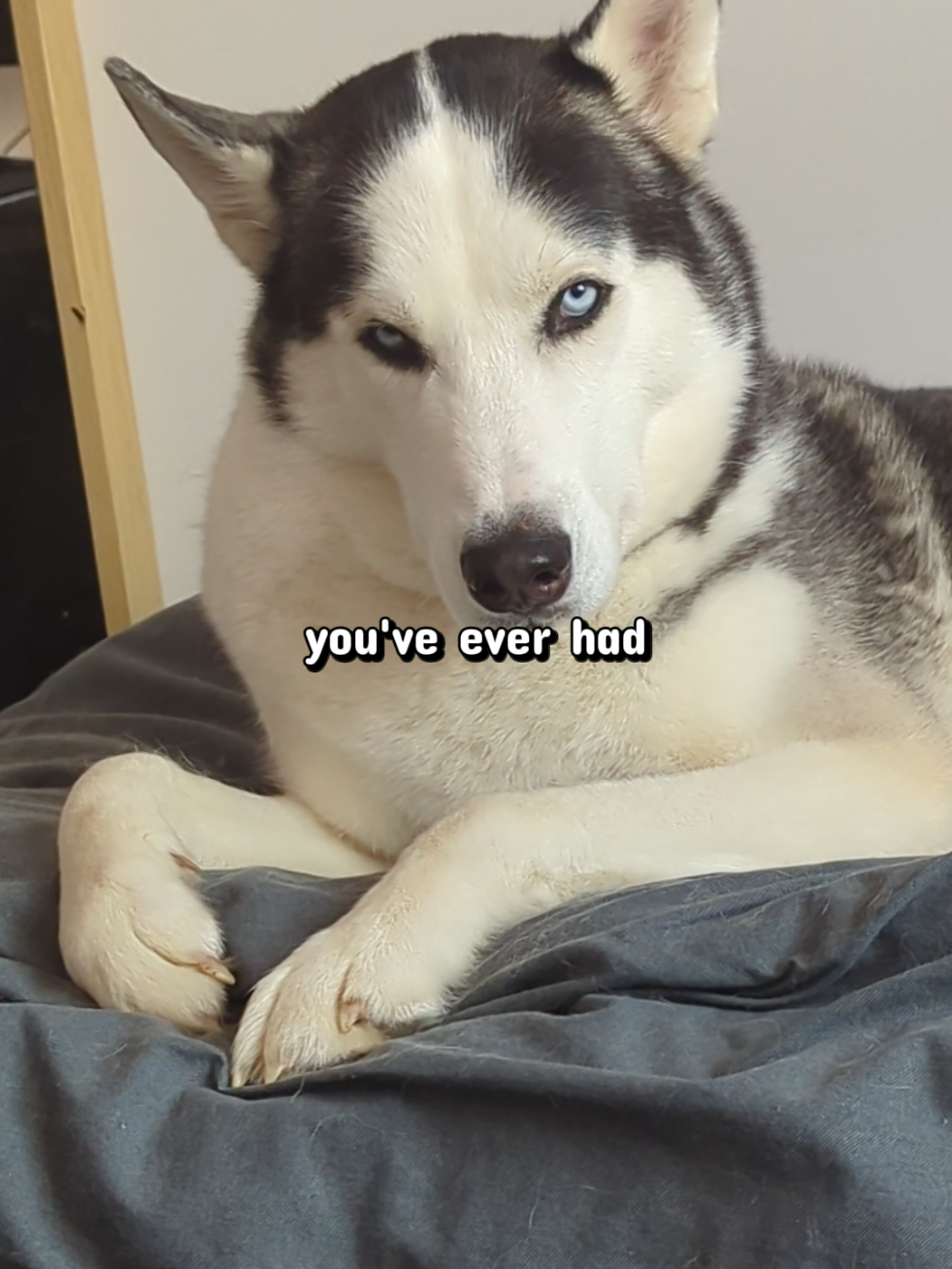 @Freya & Kuma
