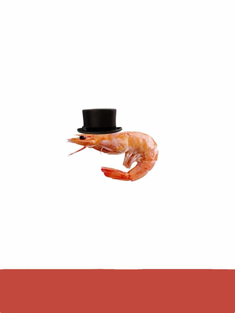 @𝐵𝓇𝑒𝒶𝒹
