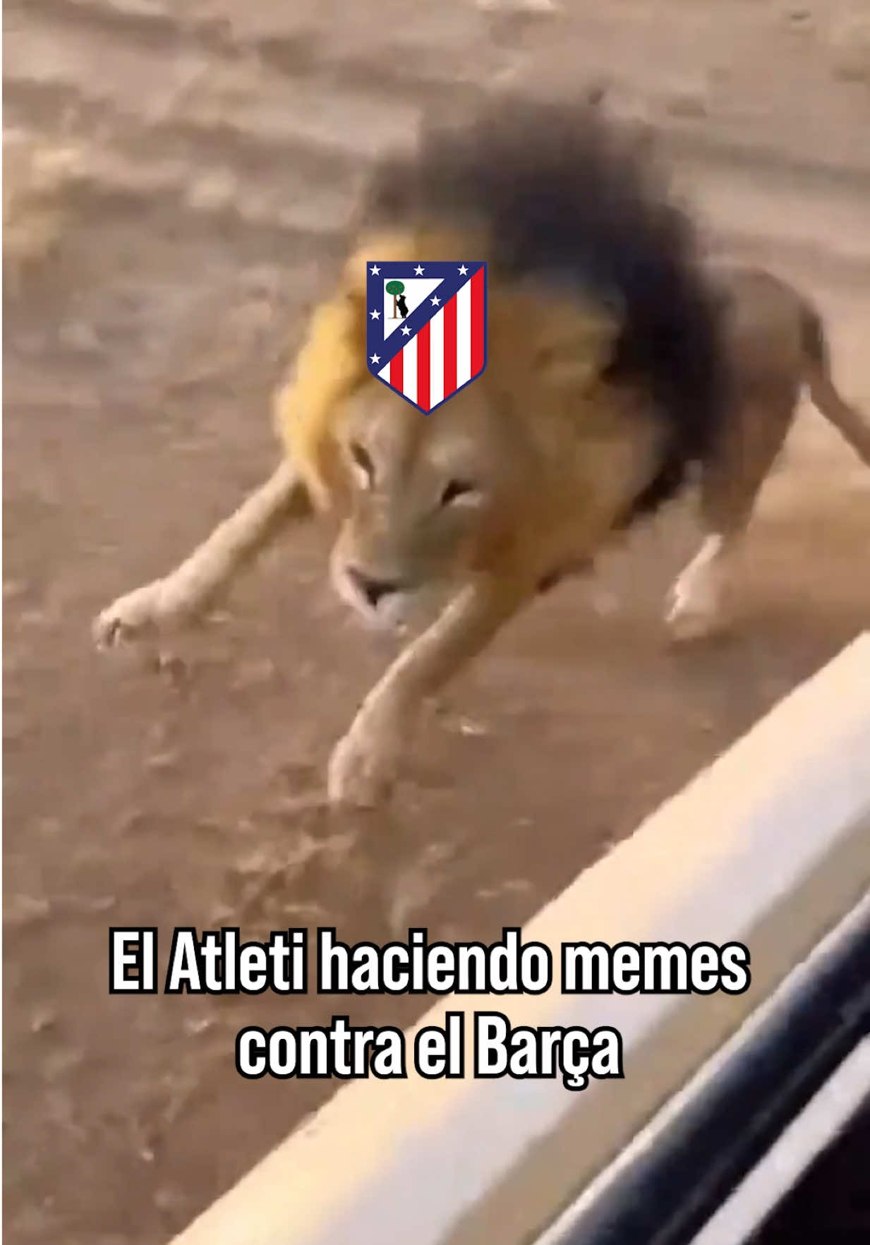 @Elche CF 🌴💚