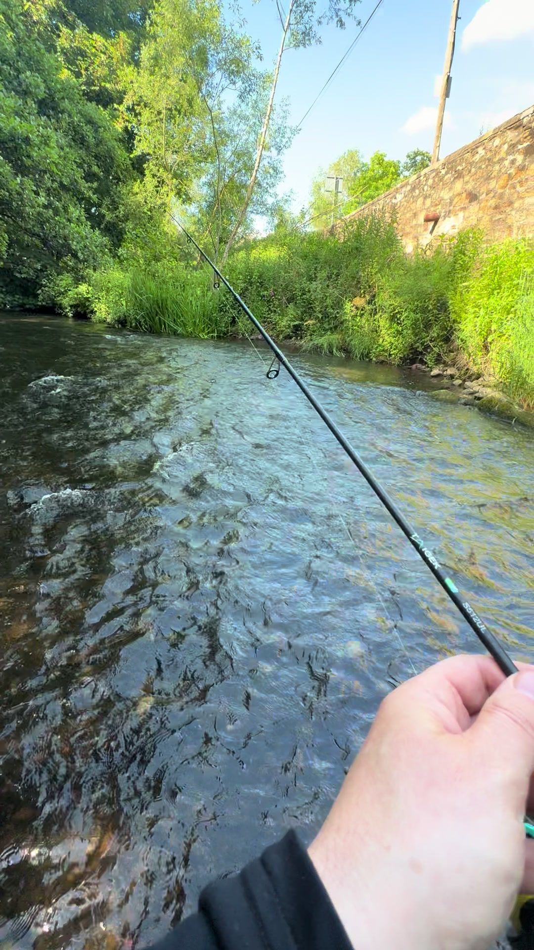 @Alba Trout 🏴󠁧󠁢󠁳󠁣󠁴󠁿