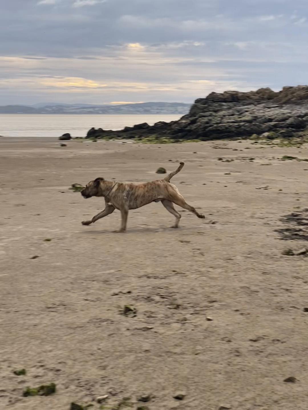 @Mooch 💖🍃 PRESA-CANARIO