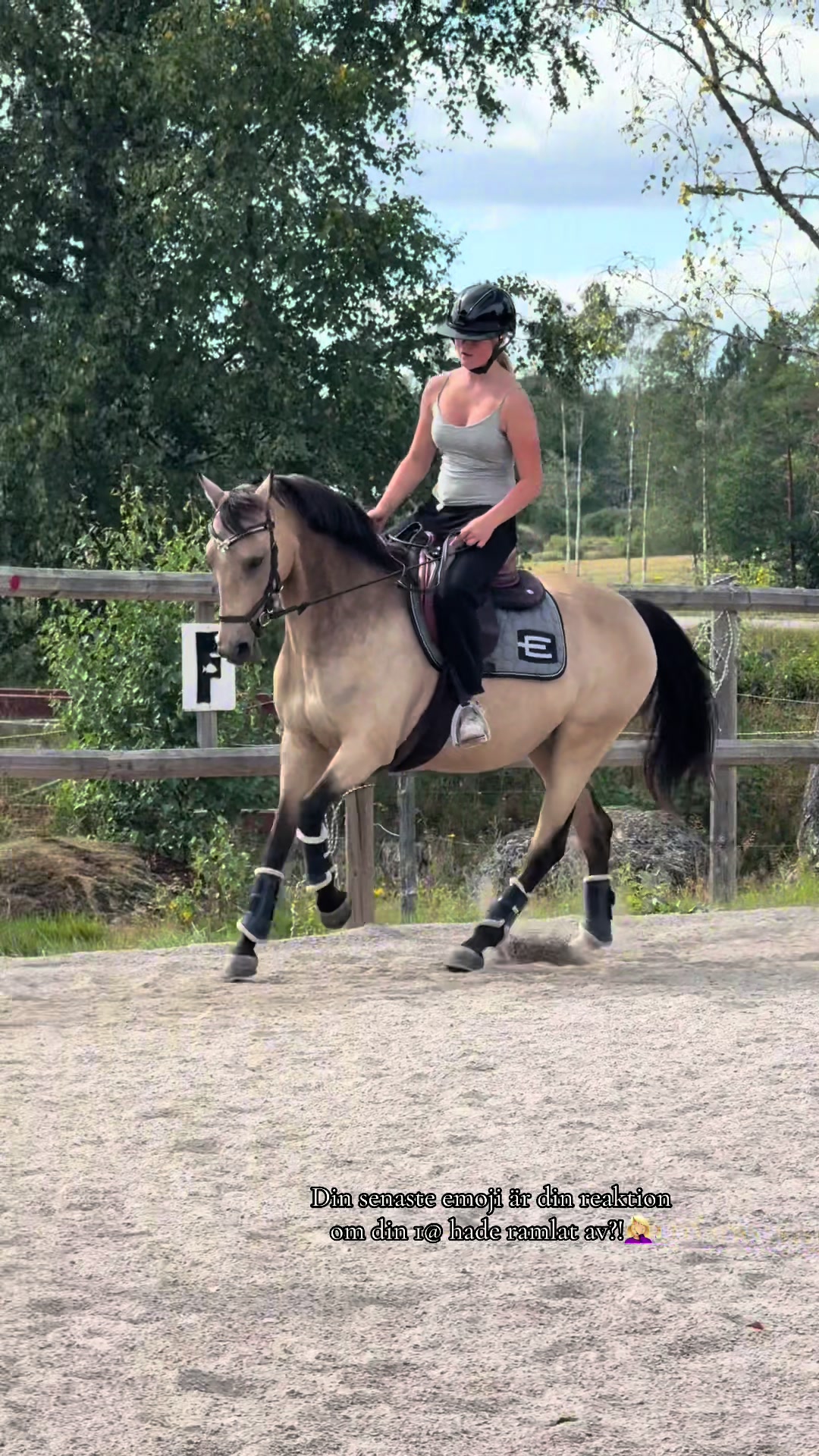 @🇸🇪Team Alslycka🇸🇪