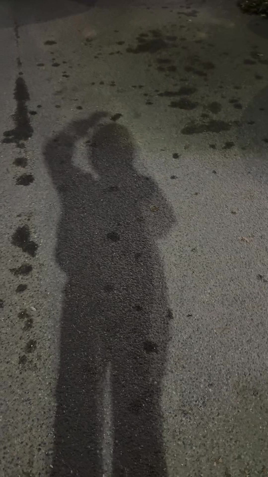 @Progawood