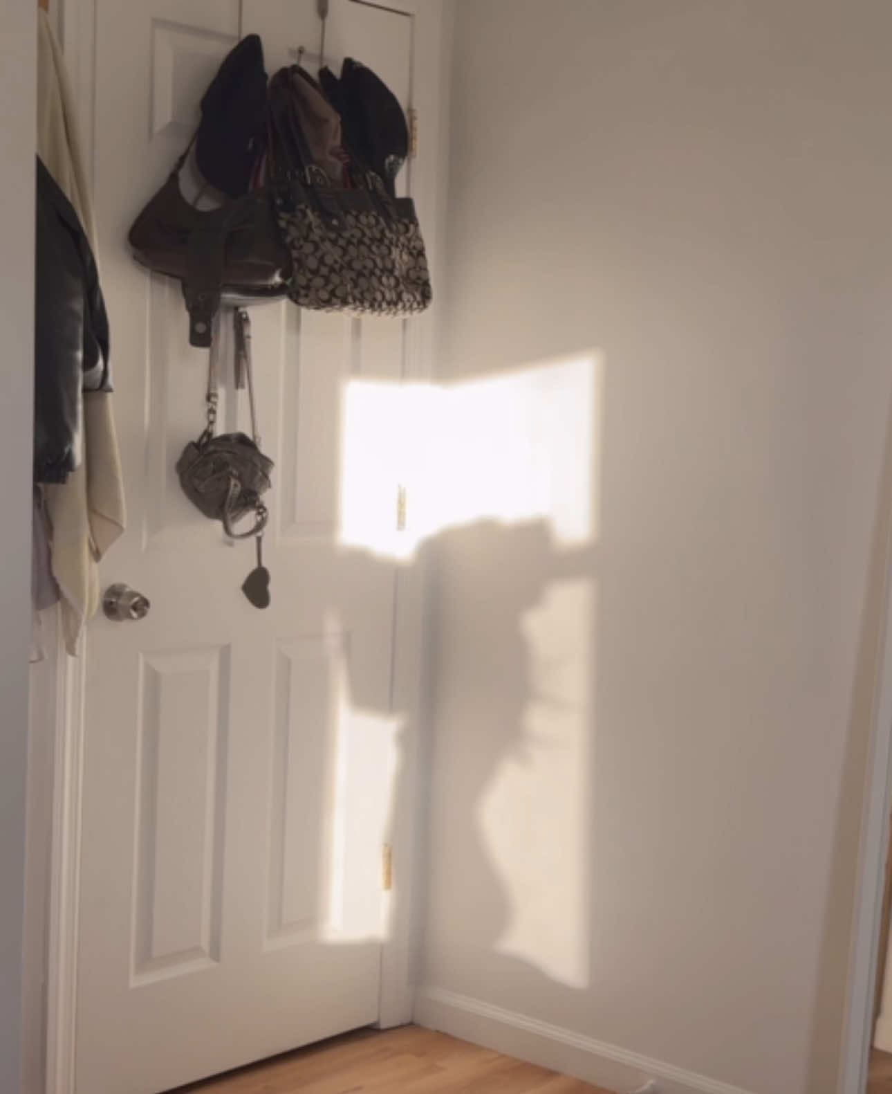 @alicecaprii