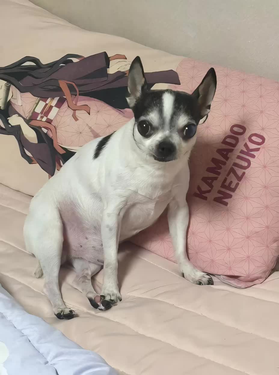 @희팡