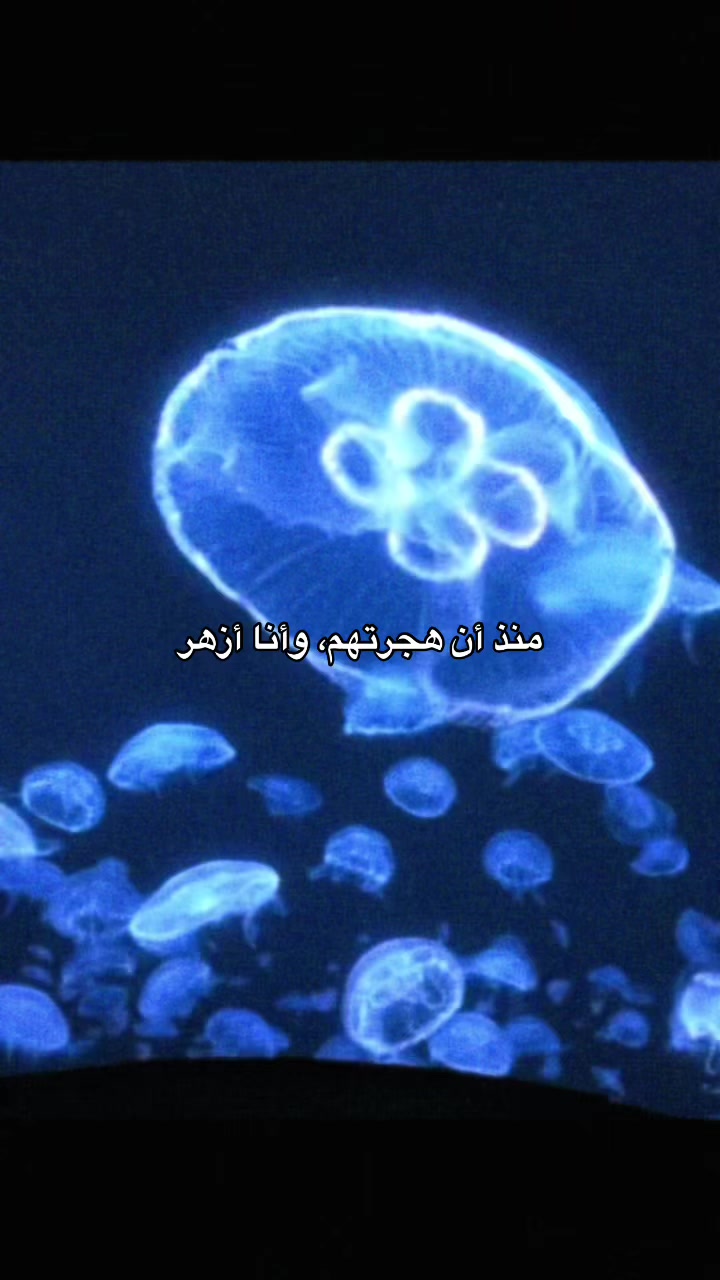 @ريرا