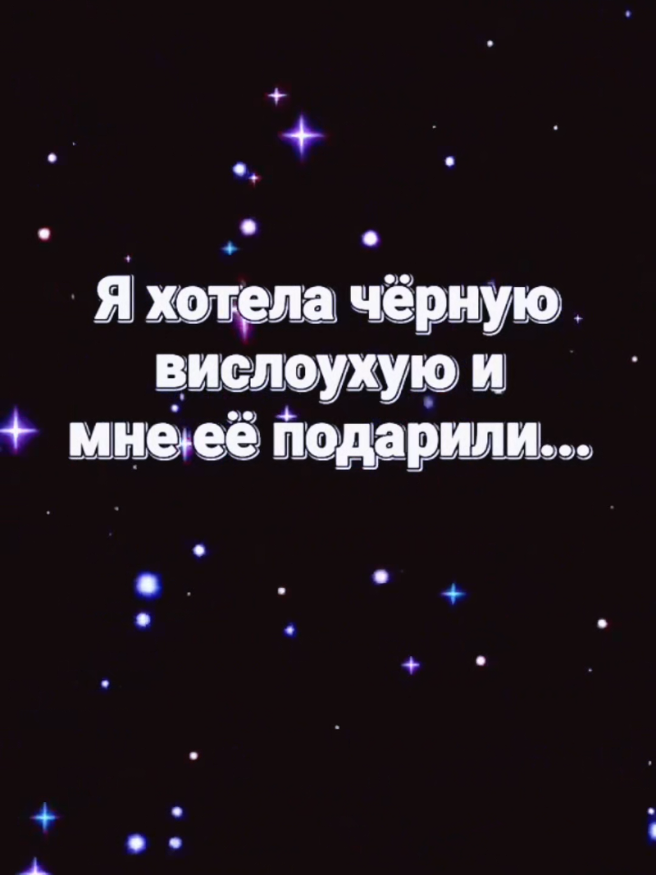 @ИрА😹Эля🐾🐾 ✔