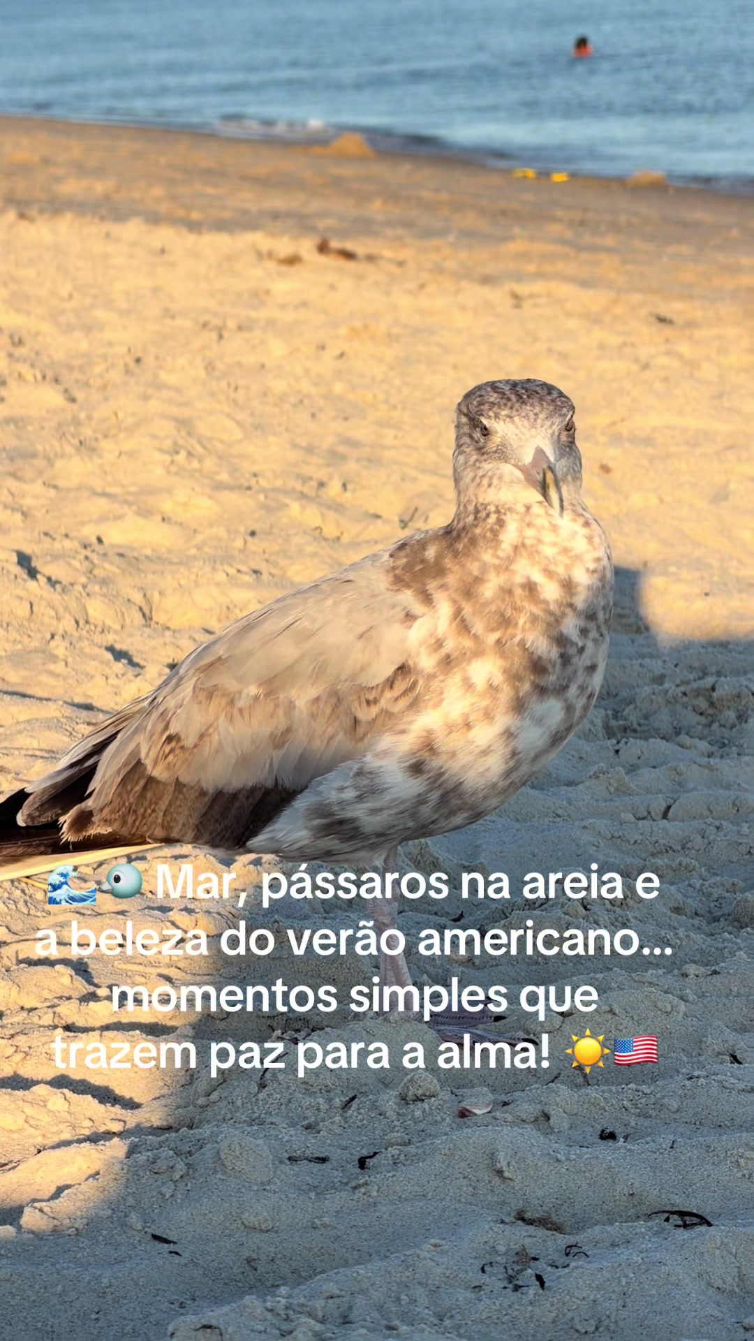 @drika2274