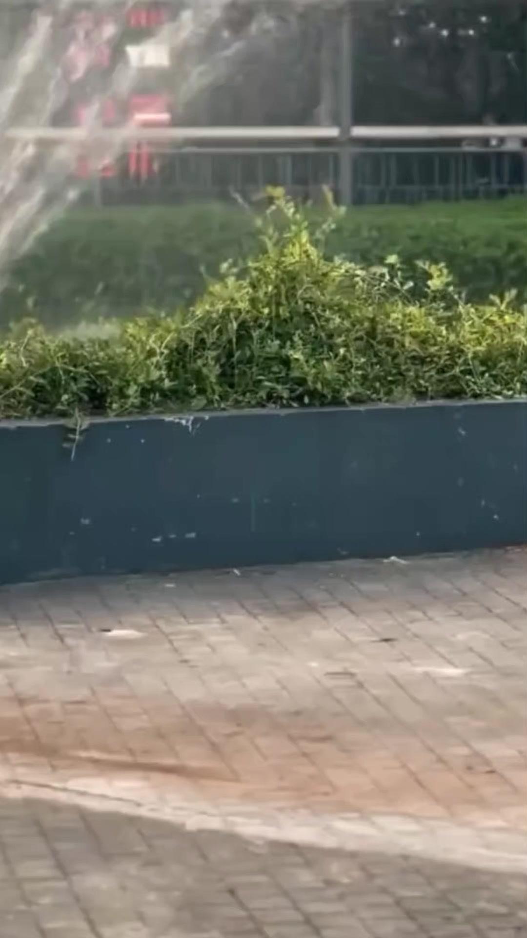 @pacocel
