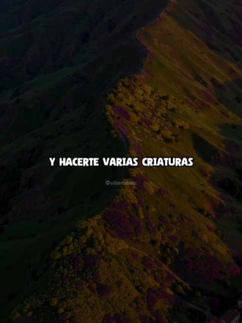 @Vibemxusic