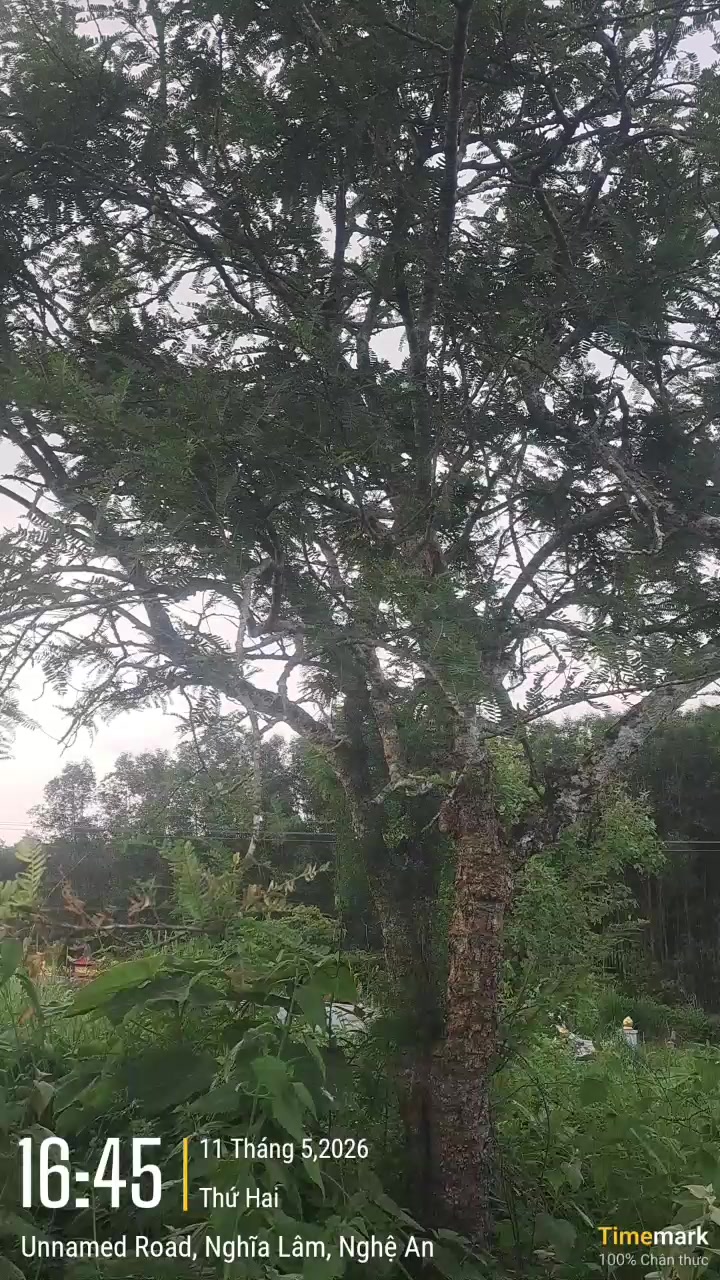 @&Ocirc;ng Nhọn