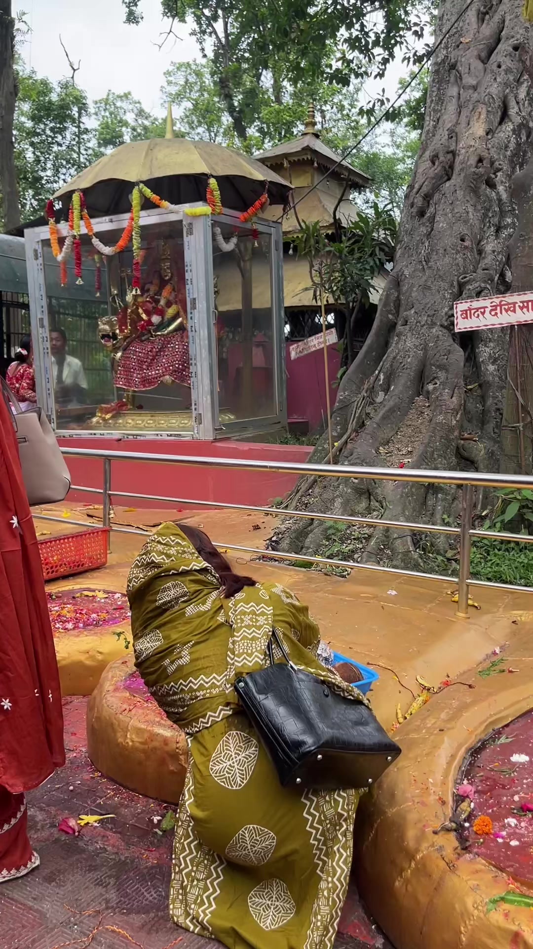 @San Dhya