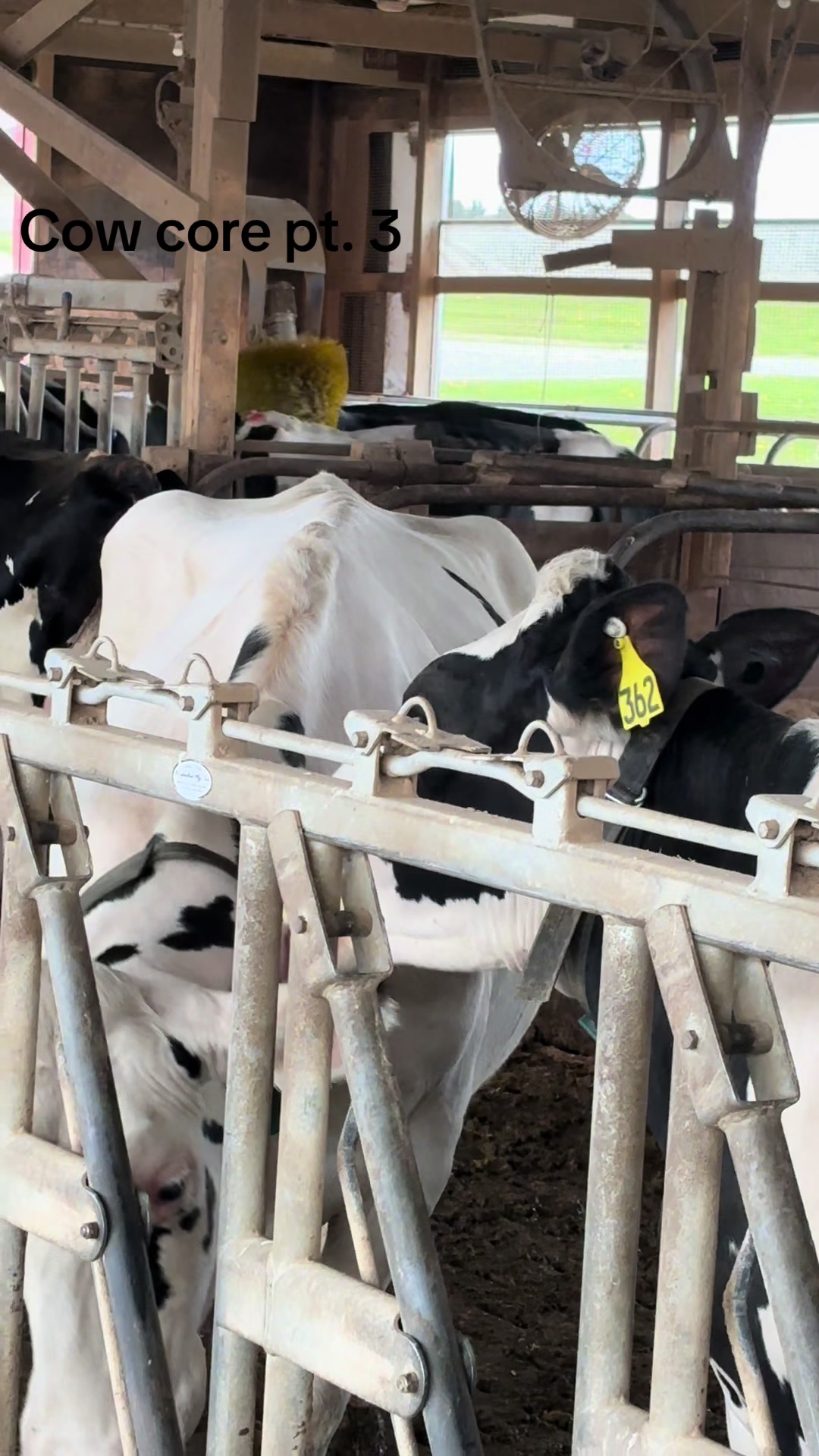 @Pingrey Family Farm LLC