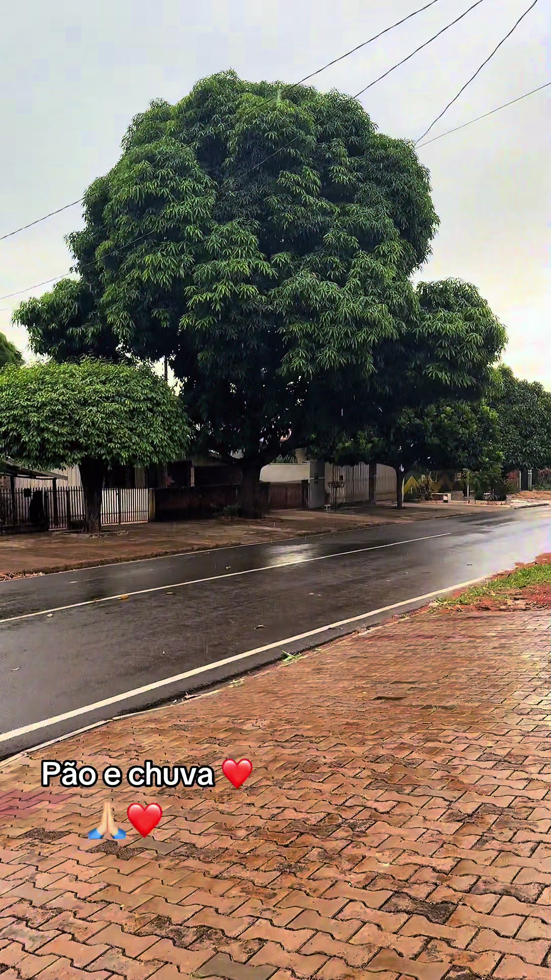 @Roseli Almeida - Oficial