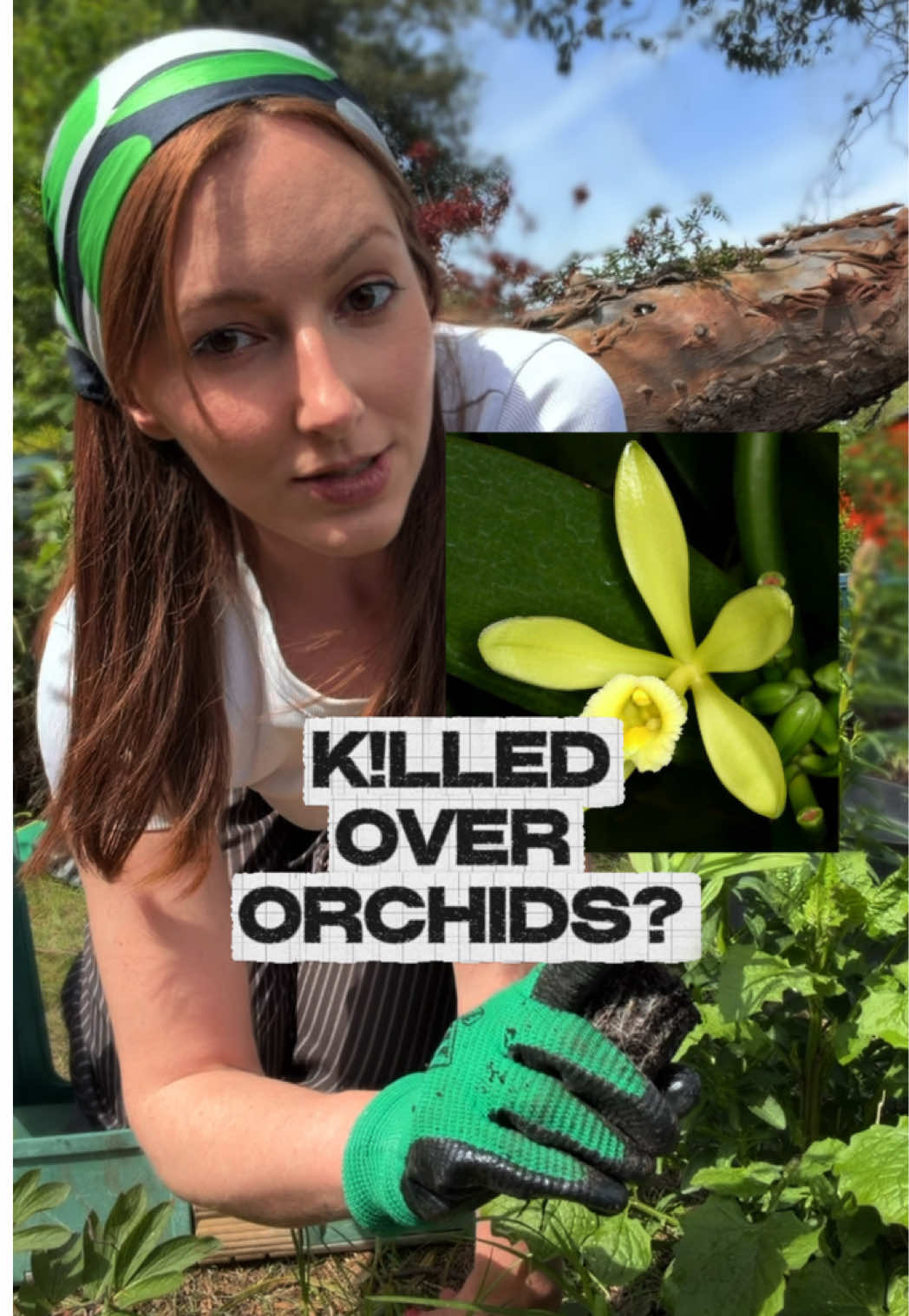 @thisgardenwillkillyou