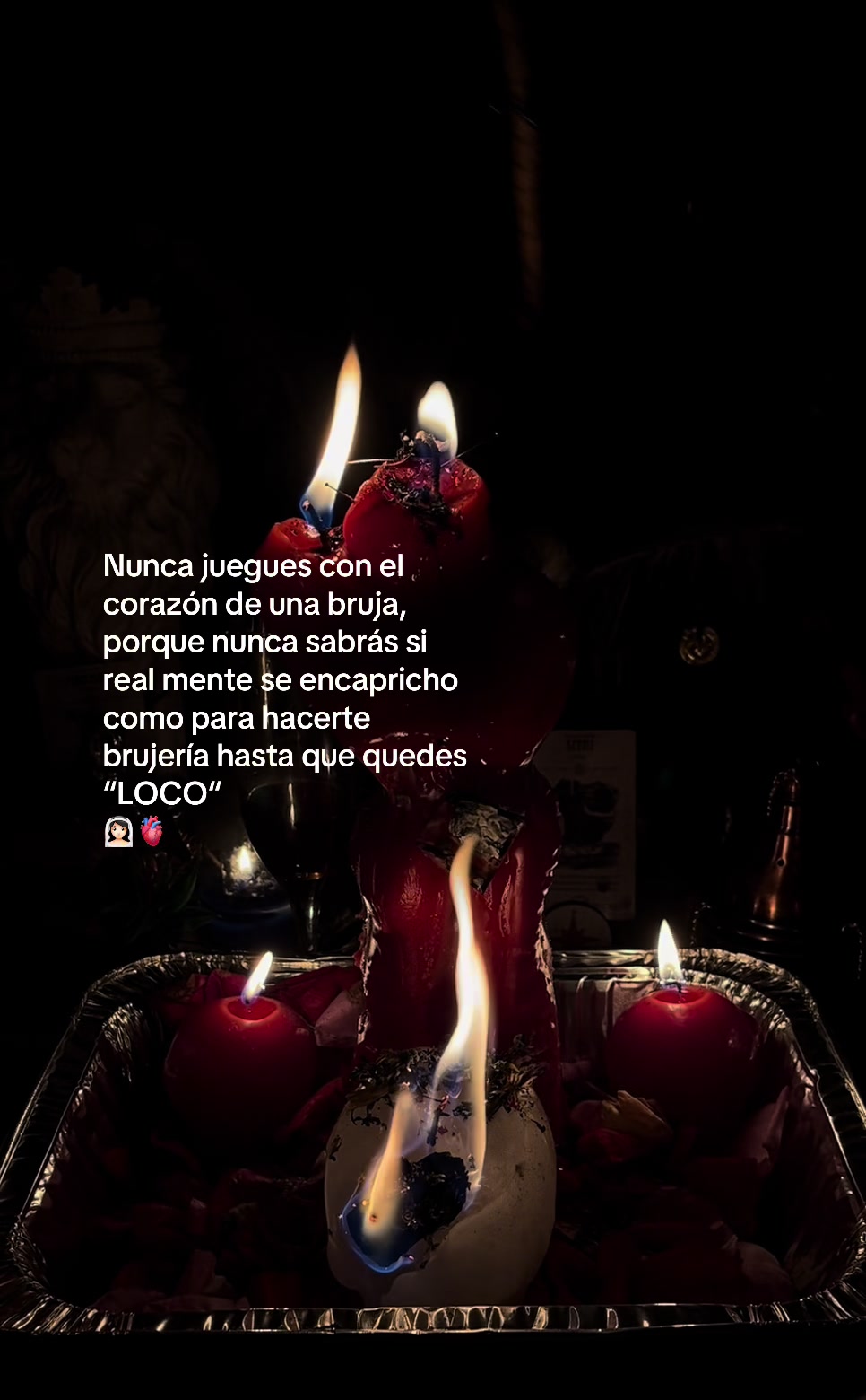 @°Kay•Daemon~🍸🐍