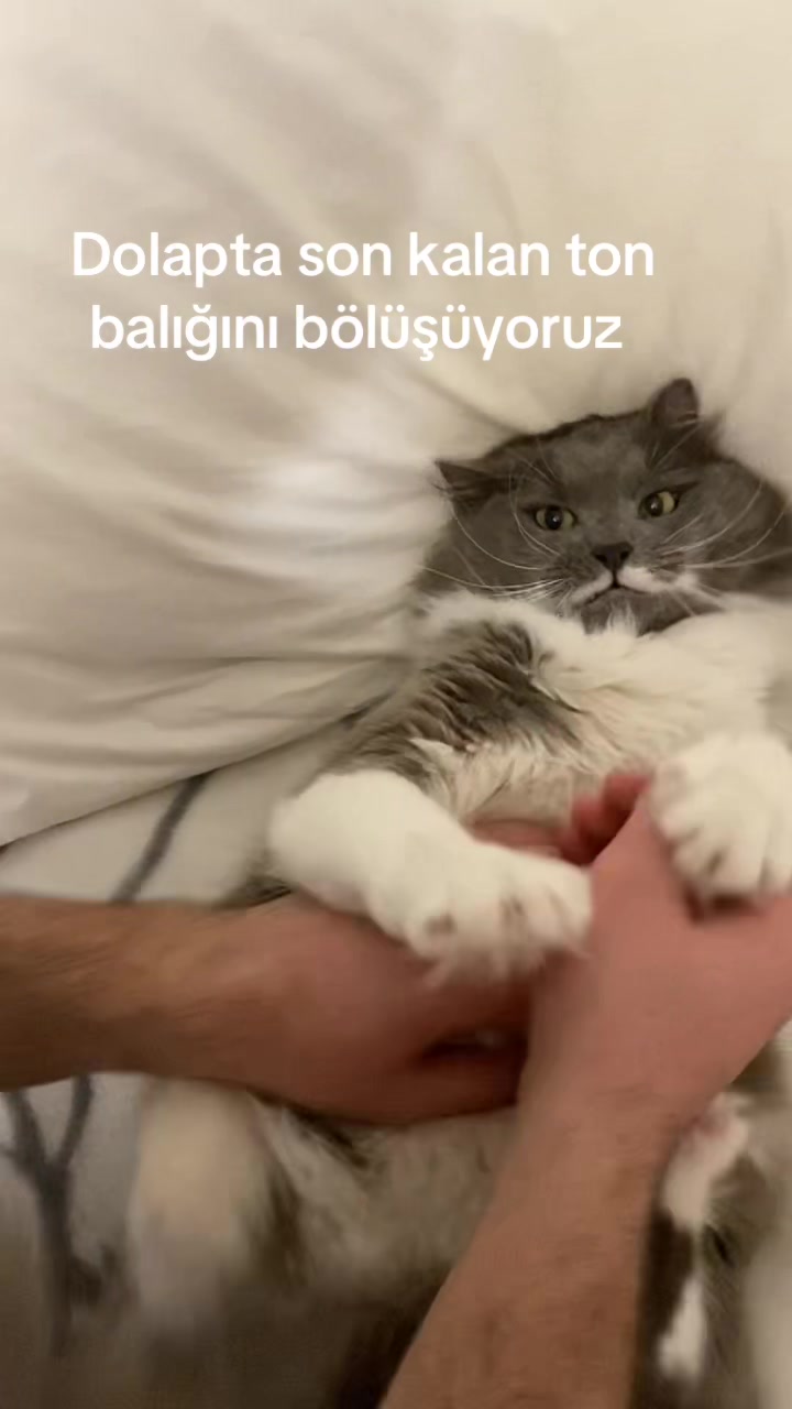 @Kıvanç&Berfin