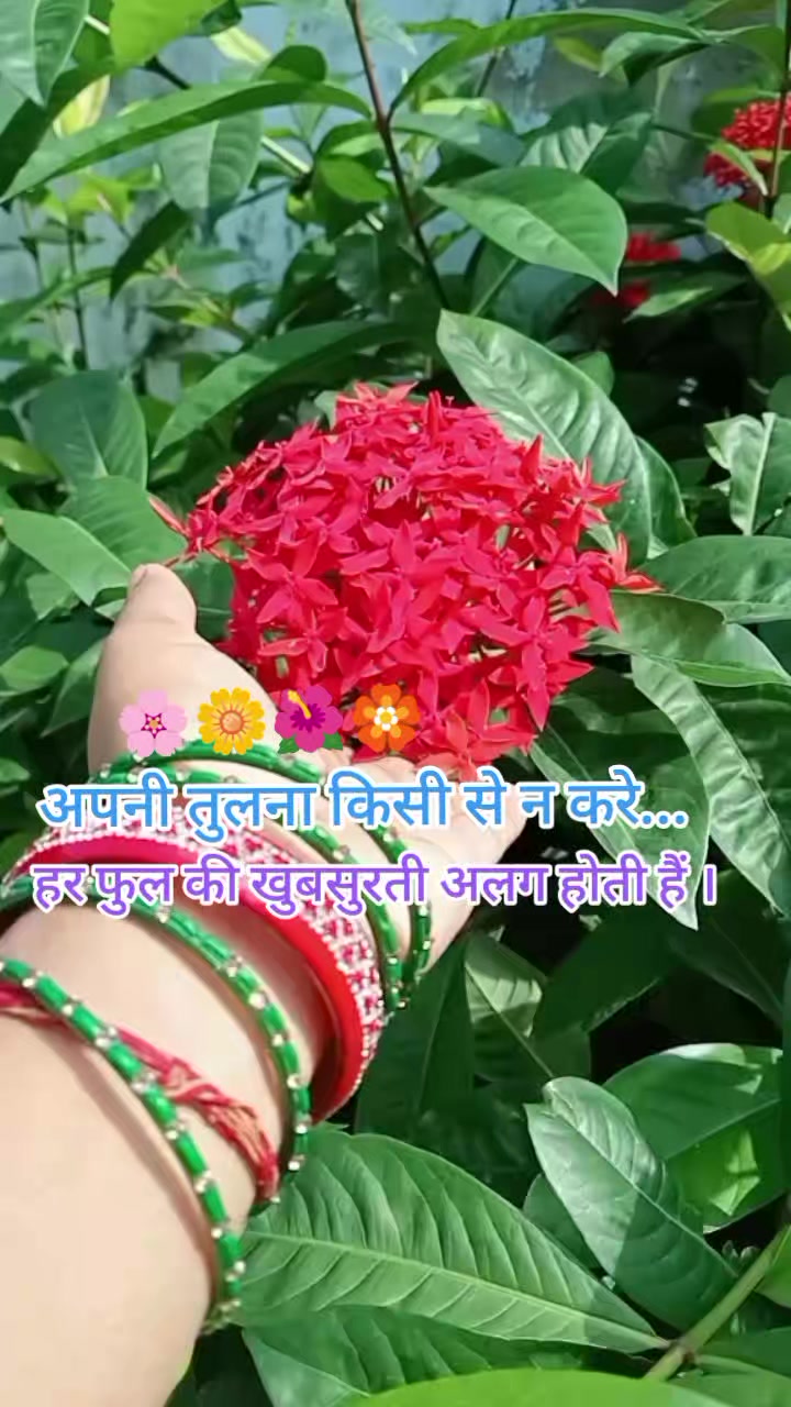 @Ree-Taa Gupta Jain