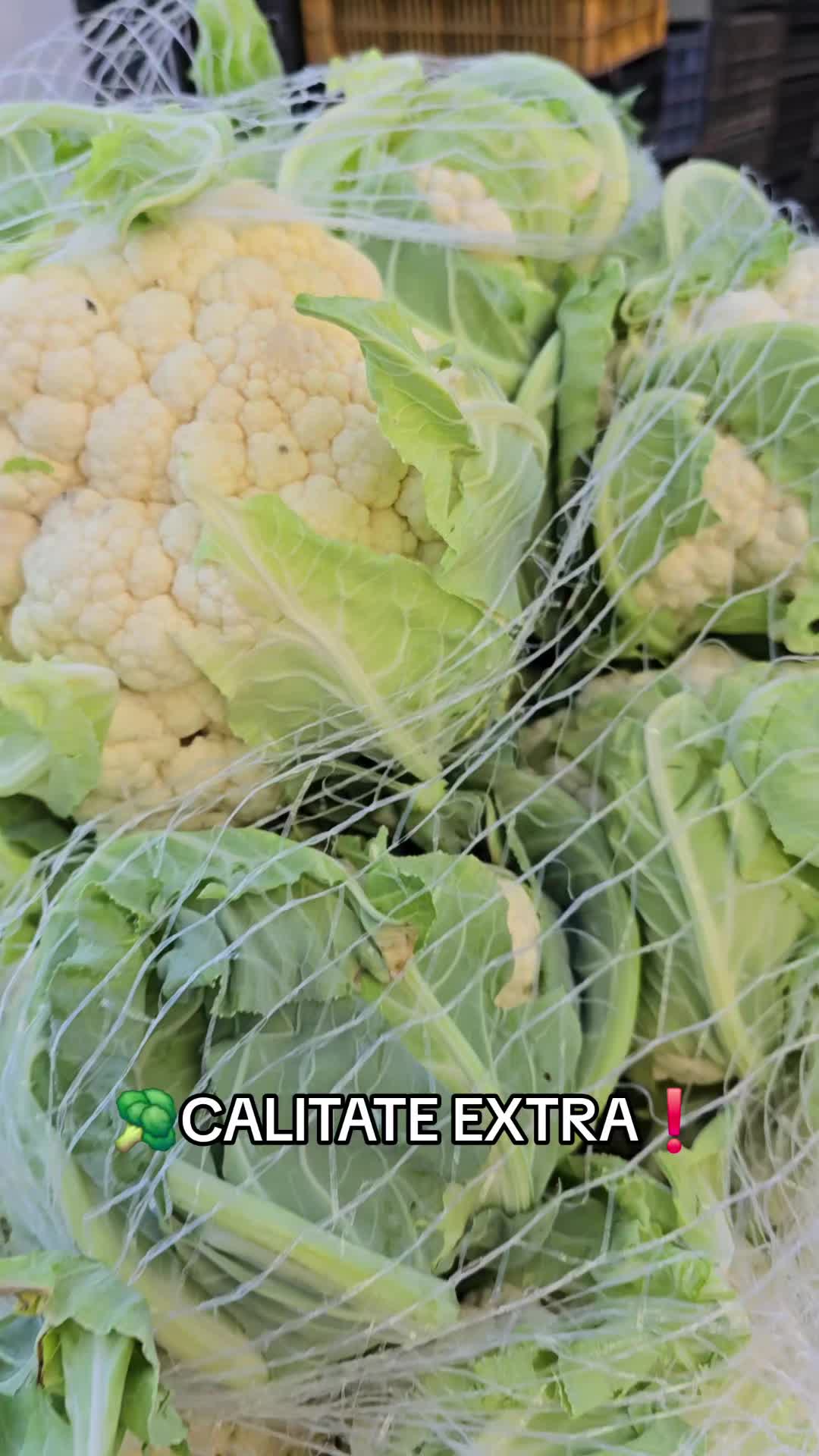 @Faze Farm