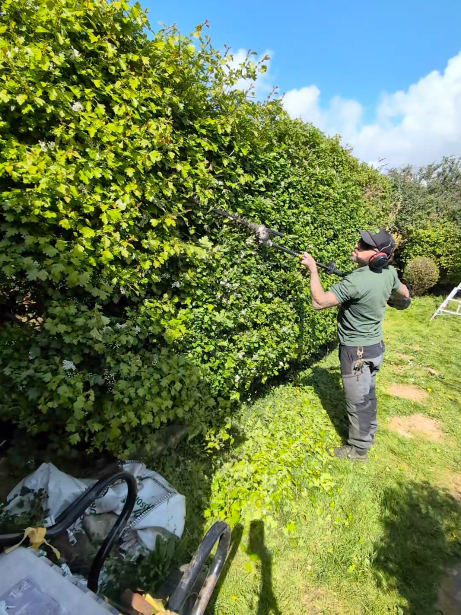 @Gary Hall Garden Services