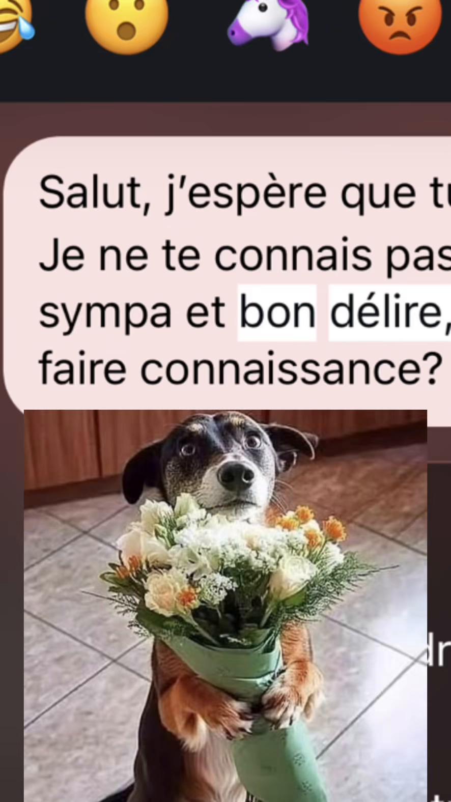 @Nofficielll