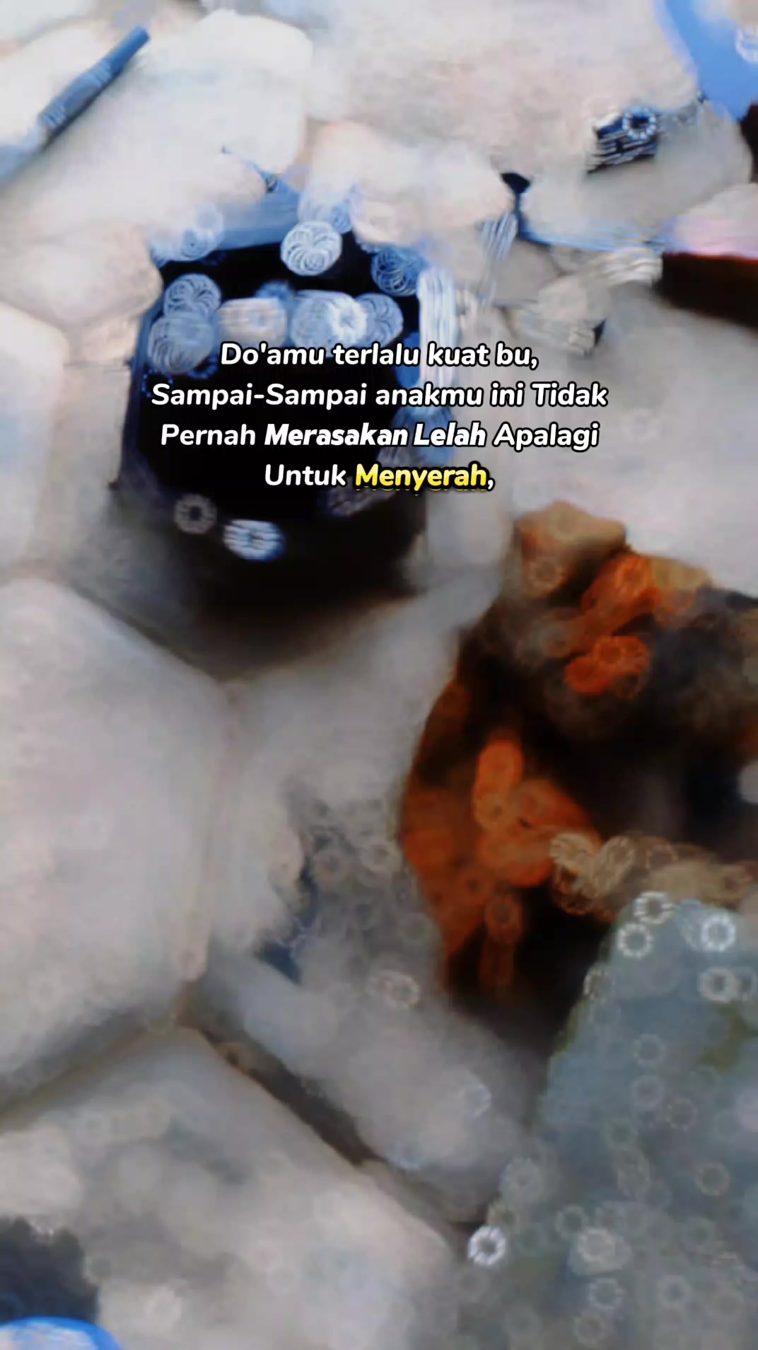 @petani melenial