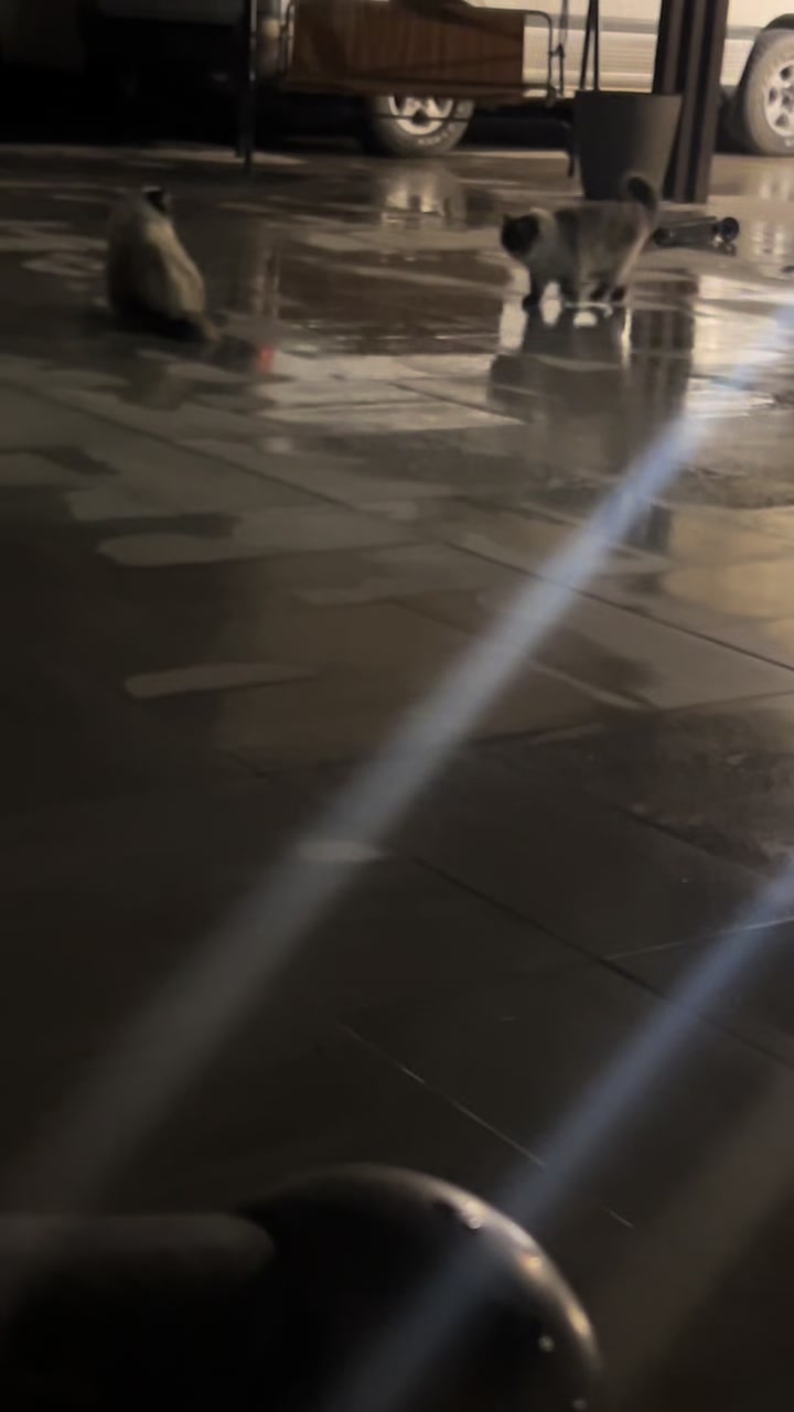 @Ga