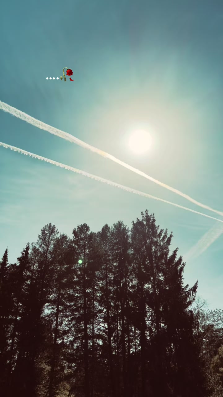 @𝓡𝓸𝓳𝓭𝓪☀️