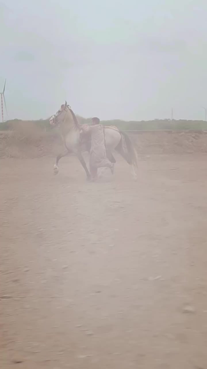 @@𝙂𝙍 𝙃𝙤𝙧𝙨𝙚 𝙁𝙖𝙧𝙢 🐴