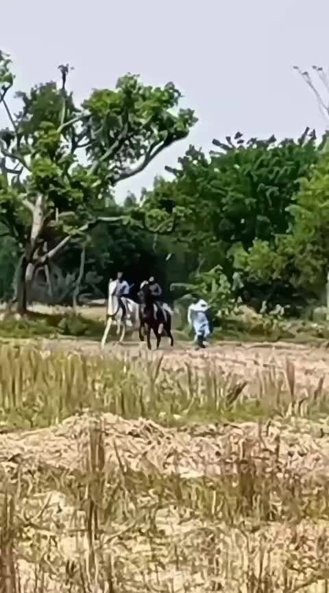 @Malik Ali Abbas Saggu🔥