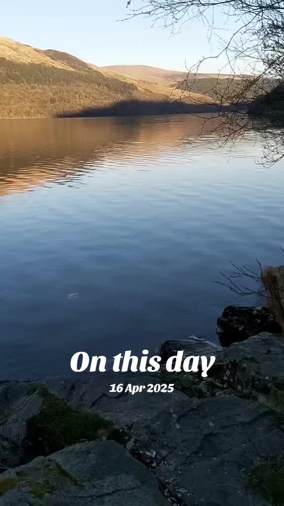 @lemons212