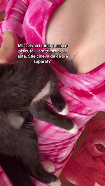 @Lexy 🐈&zwj;⬛